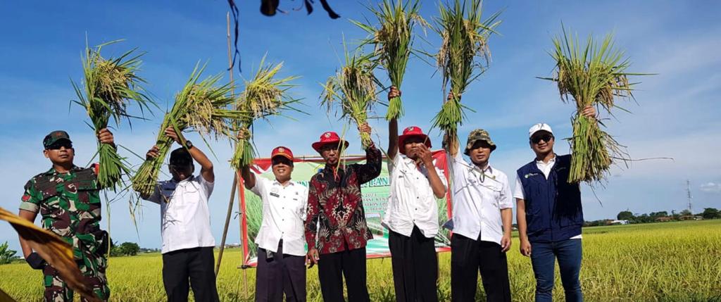 Potensi pertanian dan hasil bumi