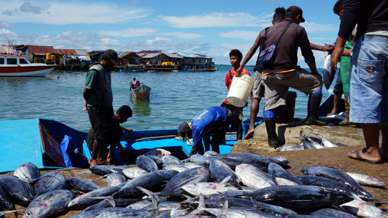 Potensi Perikanan dan Kelautan